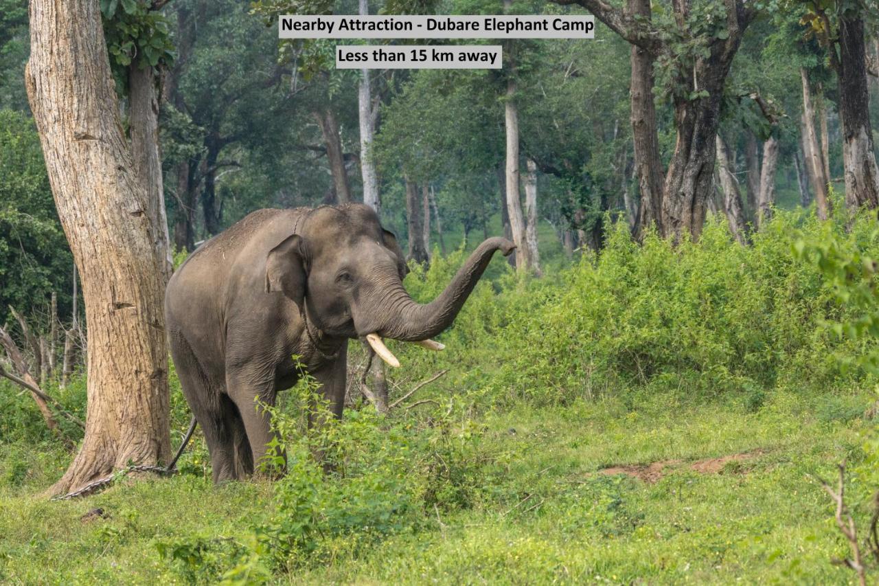 Oyo 23994 Rich Fort Kushālnagar エクステリア 写真